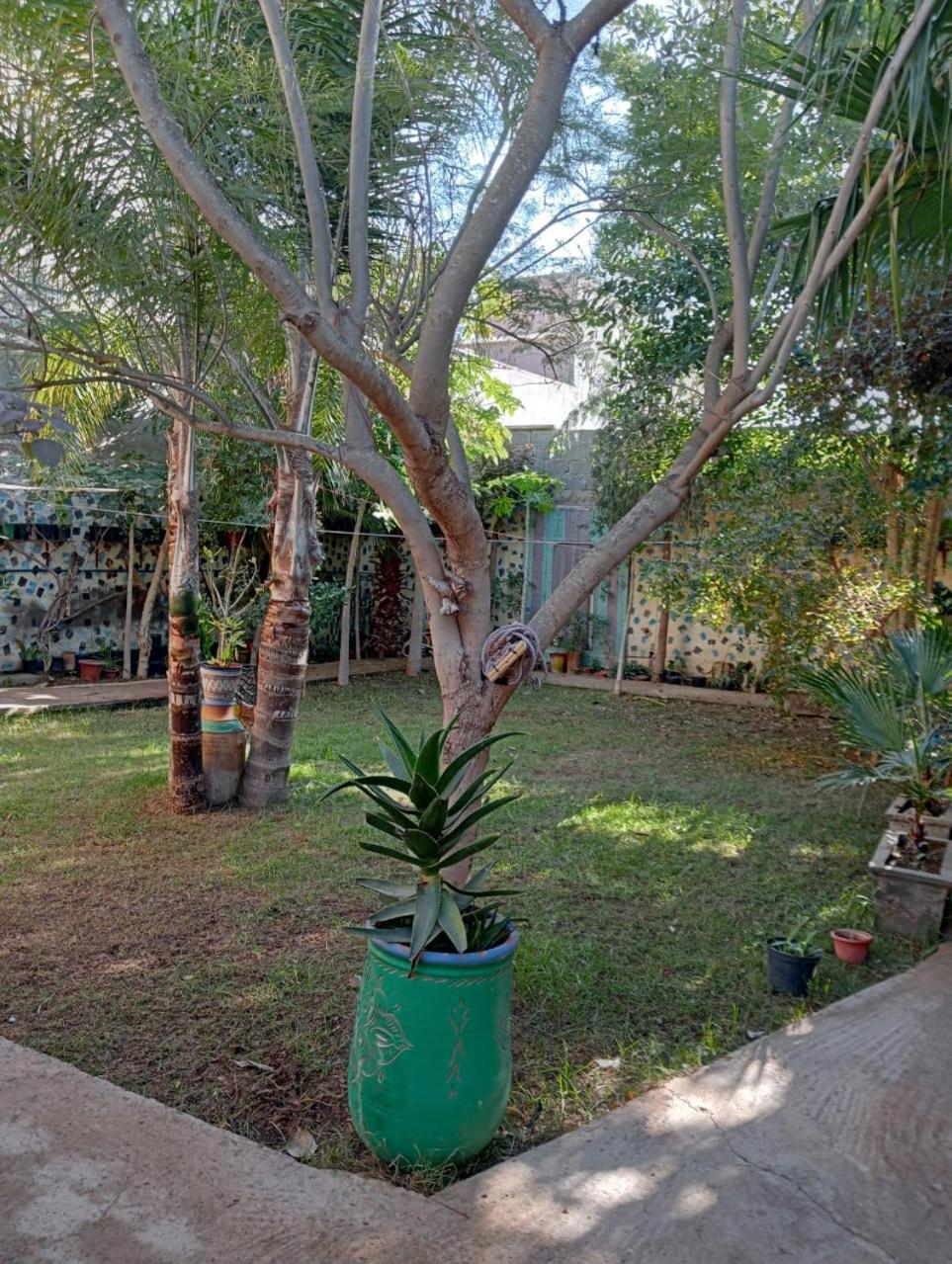Riad Targante Takate 1 Sidi Bibi Exterior foto