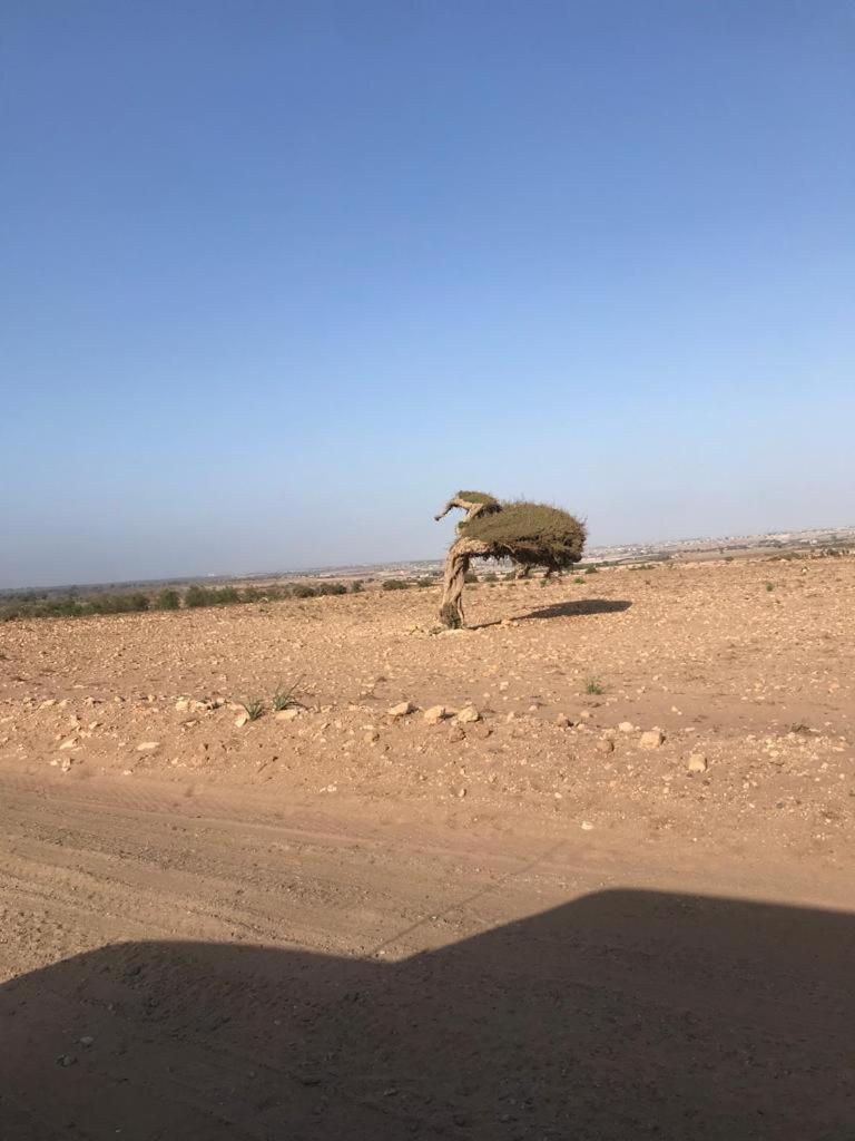 Riad Targante Takate 1 Sidi Bibi Exterior foto